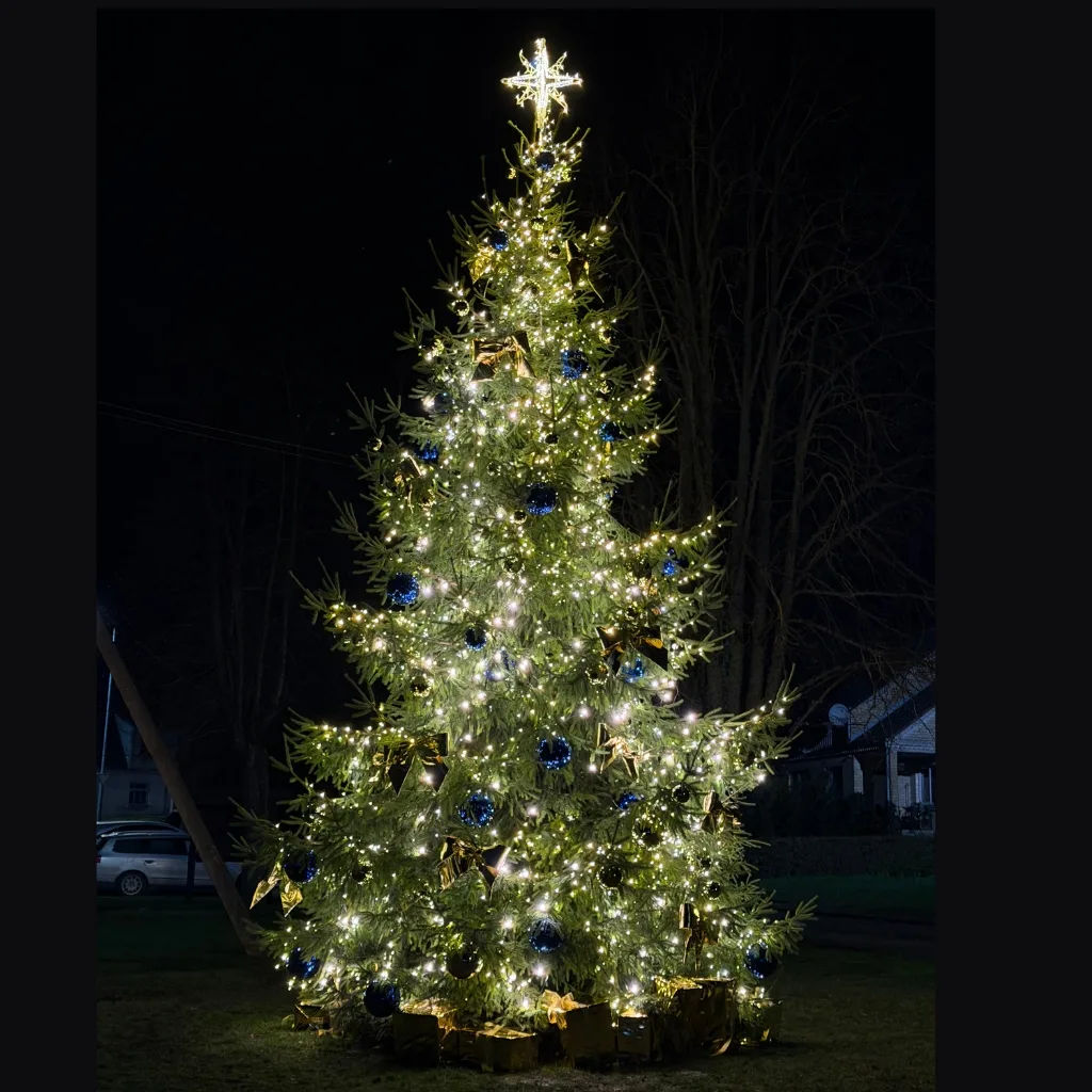 Lauke šviečianti papuošta Kalėdų eglė naktį