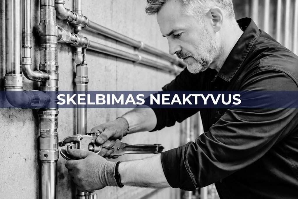 Santechnikas (-ė) | Vilnius